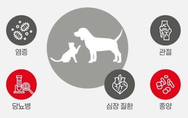 반려견 비만은 각종 질병을 유발할 수 있어서 관리가 필요하다.(로얄캐닌 제공) © 뉴스1