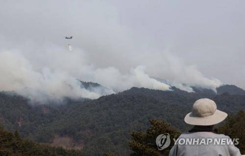 울진 산불 [연합뉴스 자료사진]