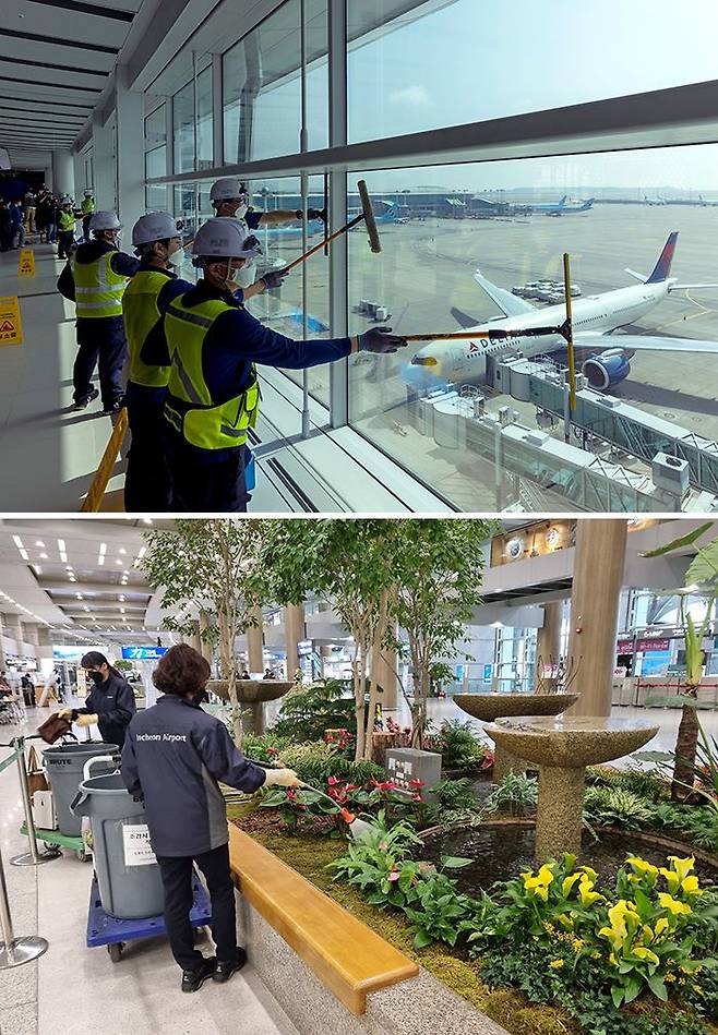 해외 여행객이 늘어날 것이란 기대가 커지면서 인천국제공항이 손님 맞이 준비에 돌입했다. 인천공항 제2터미널에서는 지난 15일 직원들이 활주로가 내려다보이는 전망대 유리창을 닦는 등 청소를 했고(위) 18일에는 공항 1층 화단에 물을 주는 등(아래) 공항 곳곳의 시설을 단장하고 점검하는 중이다. 정부가 백신 접종을 마친 입국자에 대해 적용하던 ‘7일간 자가 격리’를 21일부터 면제하기로 하면서, 공항과 여행업계에선 해외로 향하는 여행객들이 늘어날 것이란 기대가 커지고 있다. /김지호·김민기 기자