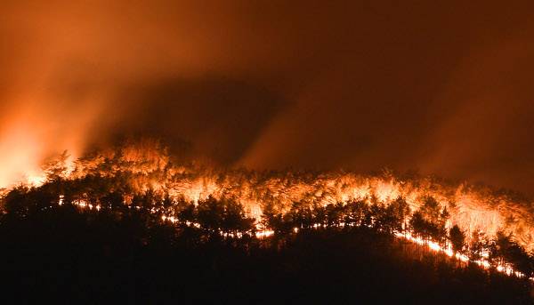 지난 6일 밤 울진 36번 국도에서 바라본 야산에 화염이 치솟고 있다.