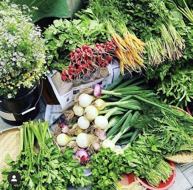 큔에서는 매주 수요일 15:30~16:30분까지. 작은 채소가게가 열린다. 사진=큔인스타그램