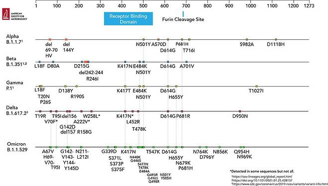 코로나19 우려변이 5가지의 돌기단백질 변이 위치. 미국미생물학회(American Society for Microbiology)