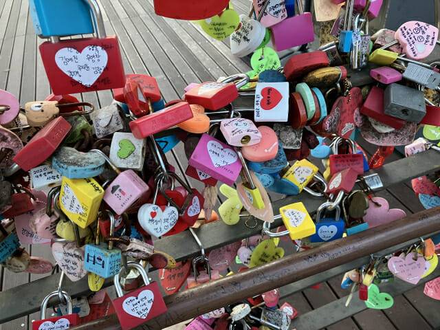 아이폰SE 3세대로 촬영한 사진 (사진=지디넷코리아)