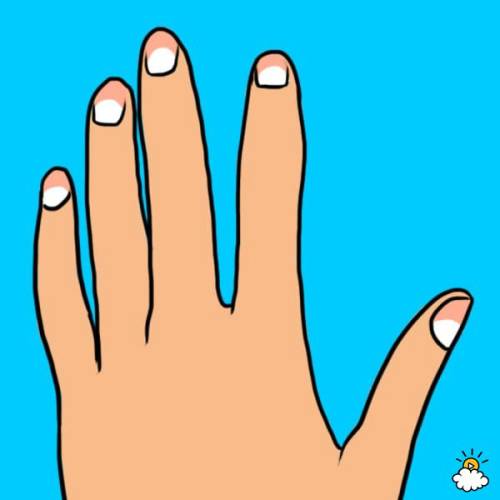 Tayra Lucero for LittleThings