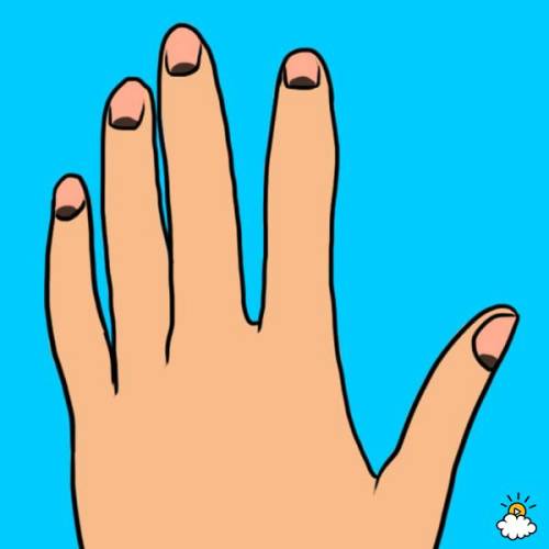 Tayra Lucero for LittleThings