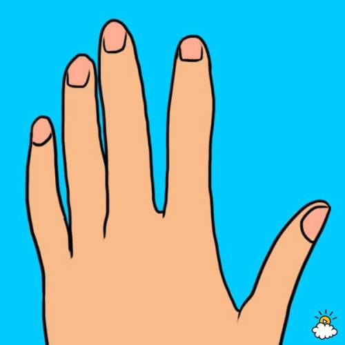 Tayra Lucero for LittleThings