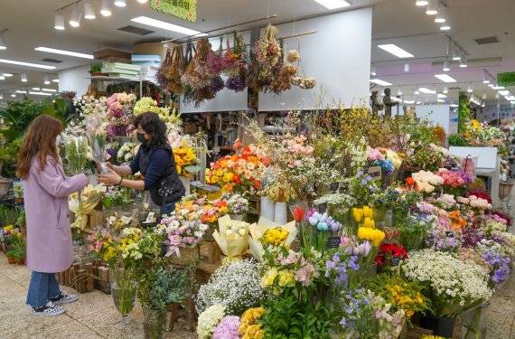 화사한 봄기운이 물씬 풍기는 서울 서초 양재꽃시장 한국관광공사 제공