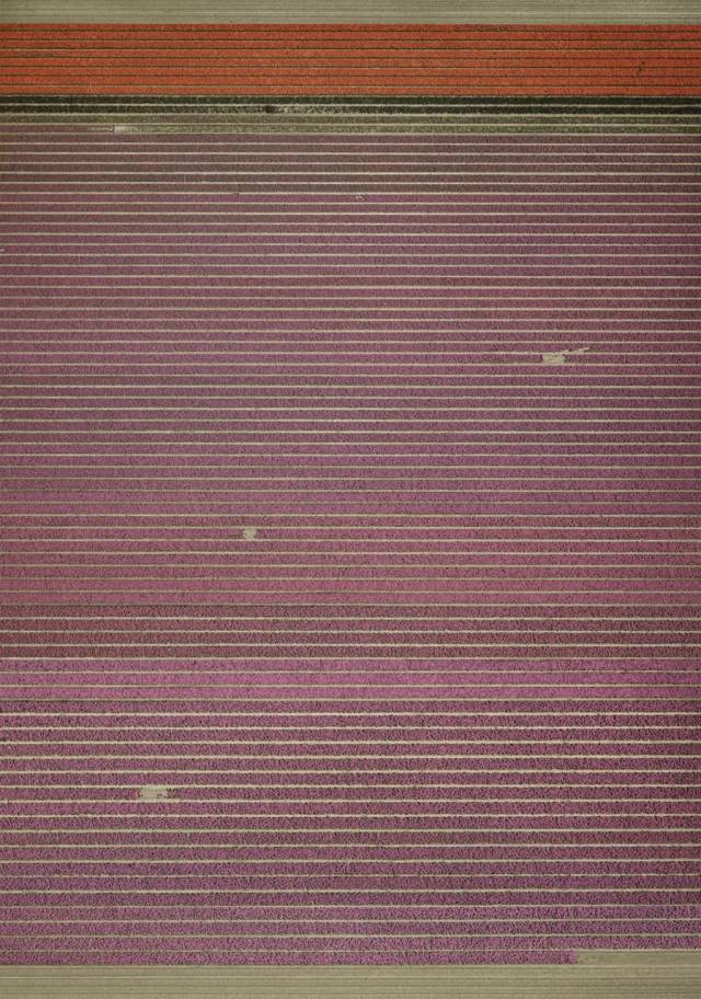 안드레아스 거스키의 2015년작 ‘무제ⅩⅨ’ /사진제공=스푸르스 마거스·아모레퍼시픽미술관