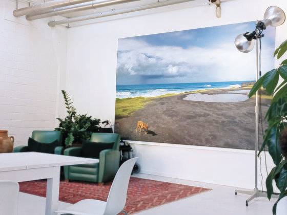 스위스 바젤의 조력사 장소 내부. 마지막 작별 인사를 할 수 있는 소파와 테이블, 사진을 찍을 수 있는 조명 시설 등을 갖추고 있다. [사진 신아연]