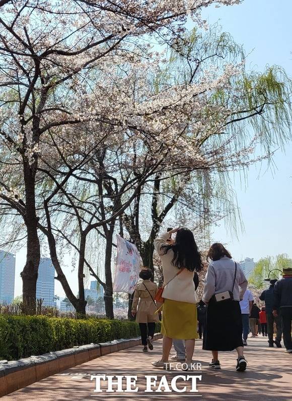 친구와 함께 벚꽃 아래서 '인생샷' 건지기.