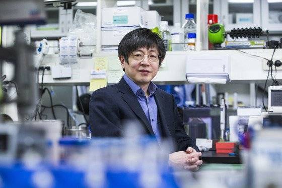 유전자가위 석학 김진수 교수. 서울대 교수 시절 자연과학대학 연구실에서 연구하던 모습이다. [중앙포토]