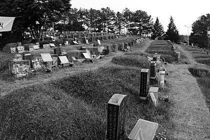 1980년 5월 광주 민주화 운동에서 희생된 시민들의 무덤이 있는 광주광역시 망월동의 구(舊) 묘역(墓域) 모습/조선일보DB