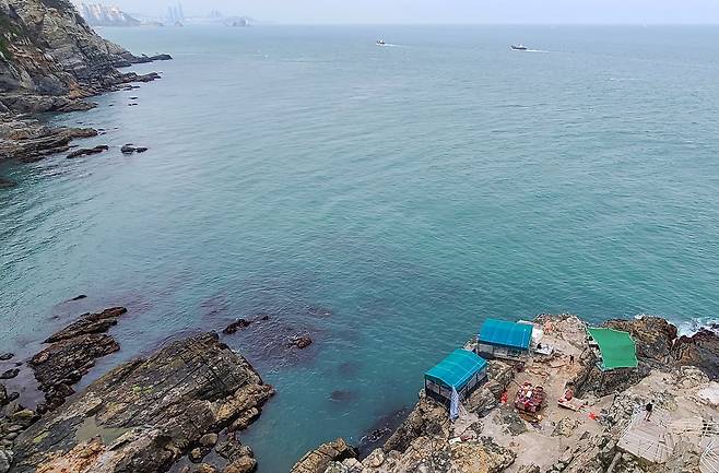 영도등대에서 내려다본 태종대 자갈마당의 모습. 해산물 파는 해녀도 보이고, 바다 멀리 오륙도도 보인다. '파친코'에서는 어린 선자가 해녀들 사이에서 물질을 익히는 장소는 등장했다. 손민호 기자