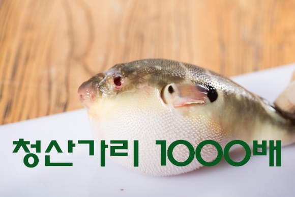 [사진=게티이미지뱅크]