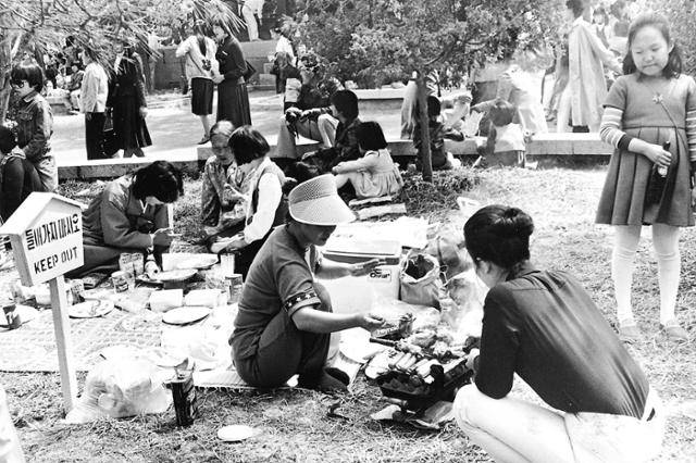 1981년 4월 12일 밤 벚꽃놀이가 시작되자 일요일인 창경궁에 인파가 몰린 가운데. '들어가지 마세요'라는 팻말이 있는 잔디밭에서 시민들이 숯불을 피우고 햄, 소세지, 통닭을 구워 먹고 있다. 한국일보 자료사진