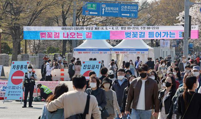 여의도 벚꽃길(여의서로) 개방을 하루 앞둔 8일 오후 서울 여의서로 벚꽃길 앞에서 경찰이 교통 통제를 하고 있다. 벚꽃길 개방을 위한 교통 통제는 이날 정오부터 시작돼 18일 정오까지 이어진다. 연합뉴스
