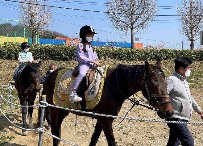 공주 석송초 승마체험 프로그램 운영장면.