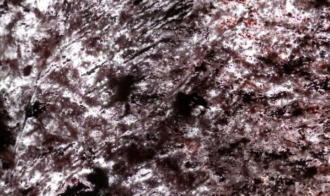캐나다 퀘벡에서 발견한 고대 암석을 현미경으로 확대한 모습. UCL 연구진