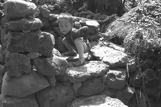 제주의 돗통시 (제주=연합뉴스) 옛날 제주에는 집집마다 '돗통시'가 있었다. '돗'은 돼지를, '통시'는 뒷간을 뜻하는 말로 돗통시는 돼지우리와 화장실을 겸한 공간이다. 한 남자아이가 디딜팡을 딛고 앉아 용변 보기 시범을 보여 주고 있다. 2022.4.17 [제주학연구센터 제공, 재판매 및 DB 금지]