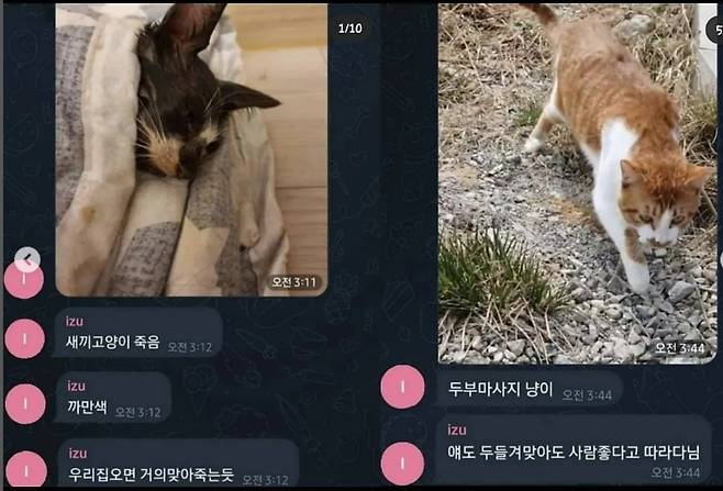 /사진=전길연 제공