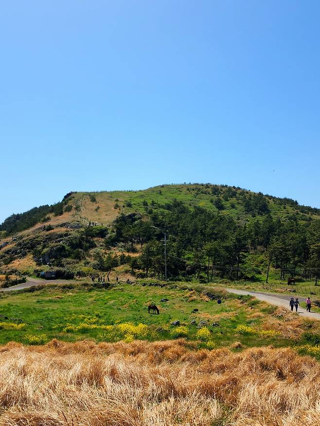 송악산 정상 분화구