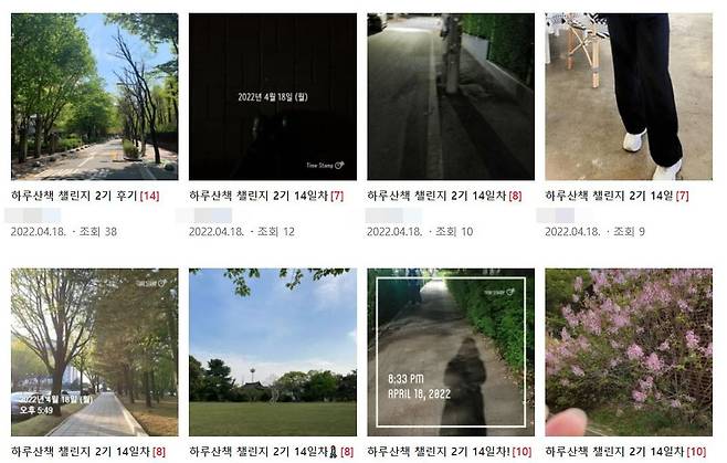 대학생·취업 커뮤니티 '스펙업' 네이버 카페에 올라온 '챌린지' 인증 글. 챌린지는 카페 이용자가 참여하는 일종의 스터디로, 이용자들은 하루 10분씩 산책하고 이를 인증하는 사진을 공유한다./ 네이버 카페 캡쳐