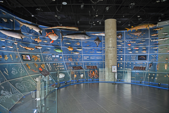 해양생물의 다양성을 테마로 꾸민 국립해양생물자원관의 제1전시관
