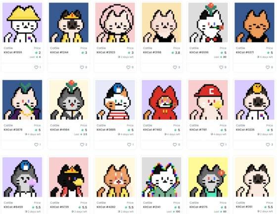 사기 대상이 된 고양이 캐릭터 NFT. 인터넷 캡처
