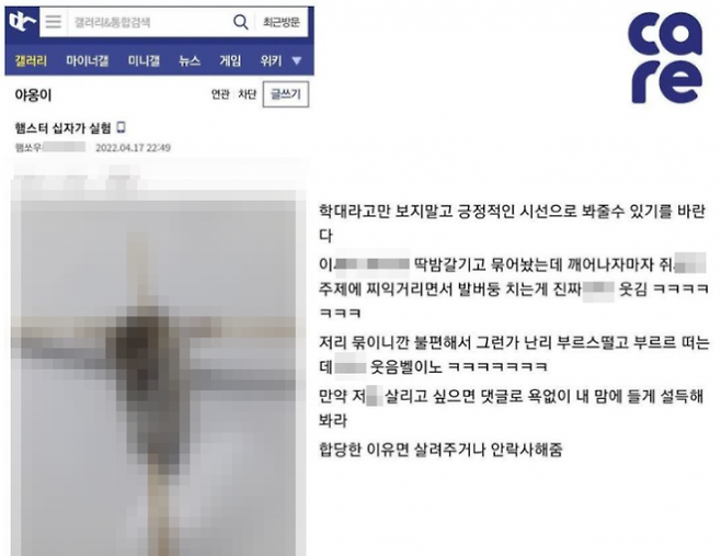 동물권단체 케어 블로그 캡처