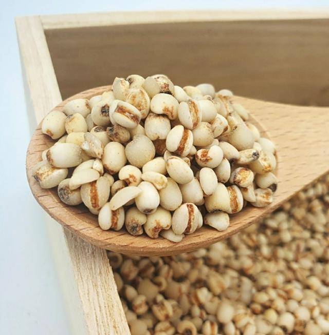 율무 전국 최대 생산지인 경기 연천의 율무열매. 연천군 제공