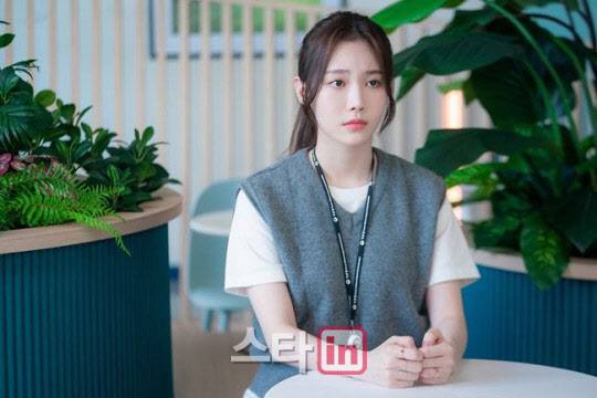 사진=어썸이엔티, 앤피오엔터테인먼트, SLL 제공