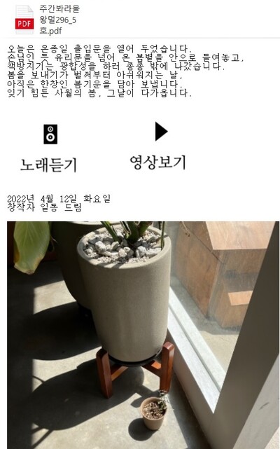 메일로 보내지는 <봐라 물왕멀296> 5호.