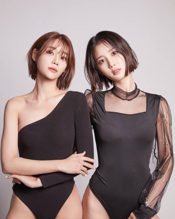 테일러 프로젝트 제공