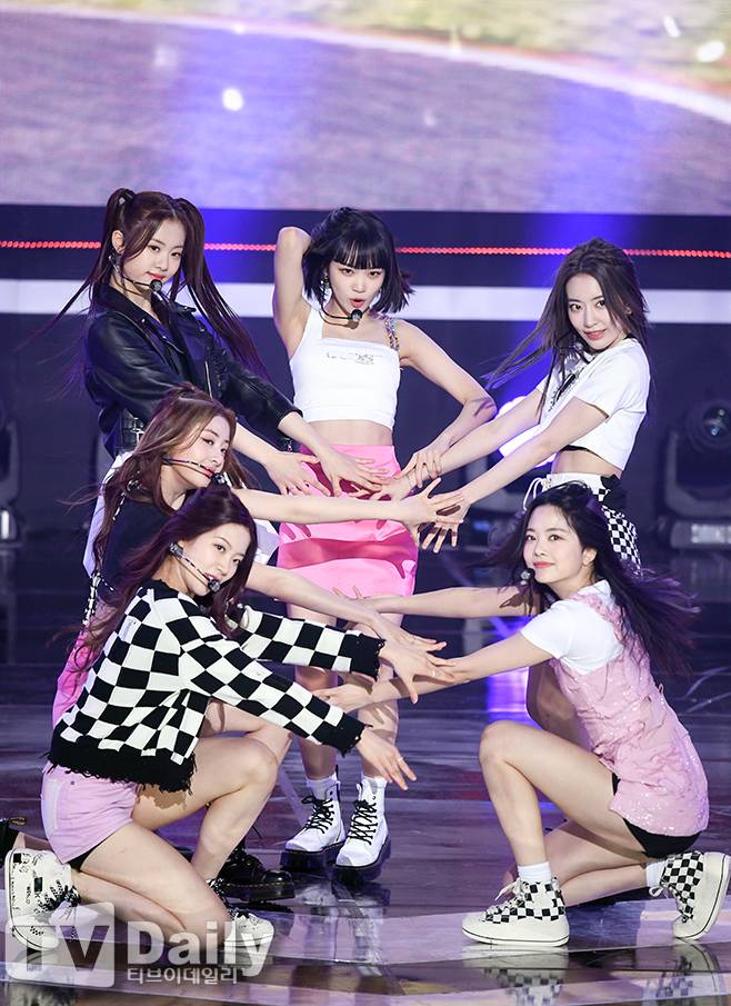 티브이데일리 포토