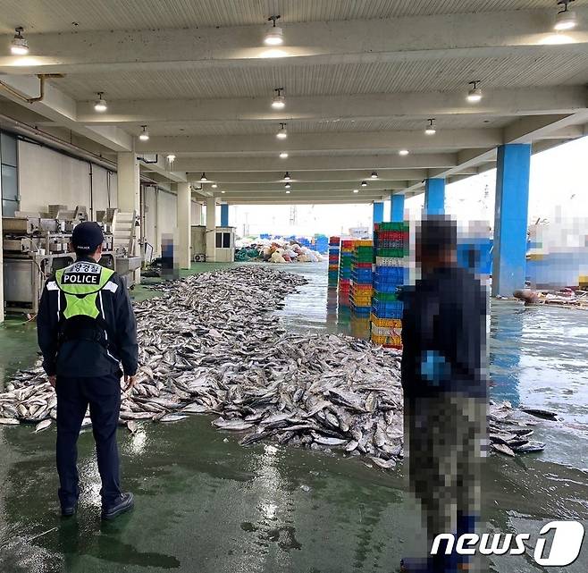 지난 10일 불법조업 혐의로 적발된 여수 선단이 불법 포획한 어획물.(제주해양경찰서 제공) 2022.5.11/뉴스1© 뉴스1