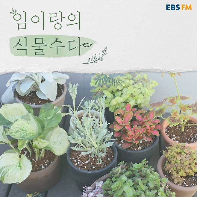 디어클라우드 임이랑, EBS '식물수다' 시즌2로 컴백