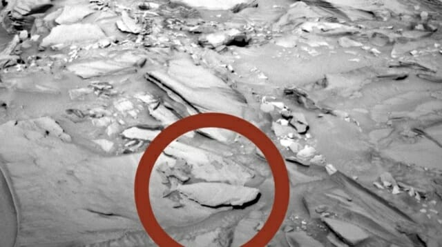 2016년 화성에서 포착된 물고기 모양 암석 (사진=NASA)
