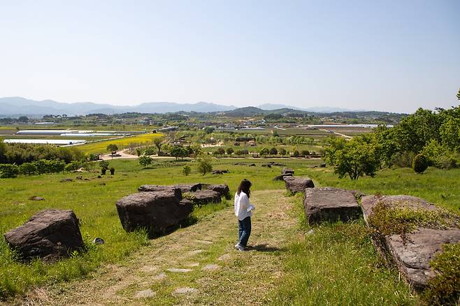고창은 한국뿐 아니라 동아시아에서 가장 고인돌이 많은 도시다. 운곡습지 가는 길, 고인돌 유적지에서 수많은 고인돌을 볼 수 있다.