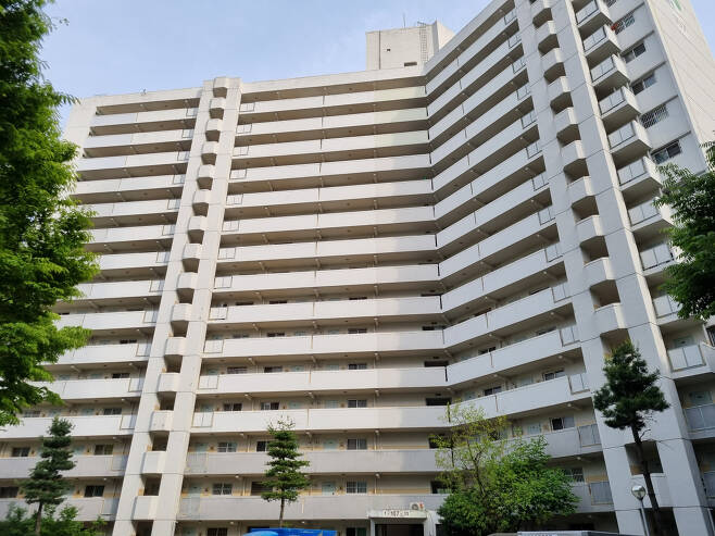 지난 11일 재건축 조합 추진위가 출범한 서울 강북구의 번동주공1단지 아파트의 모습. 유오상 기자