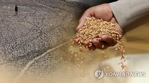 식량 부족 [연합뉴스TV 제공]