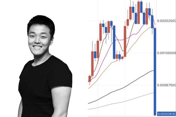 권도형 대표 페이스북, 루나 그래프