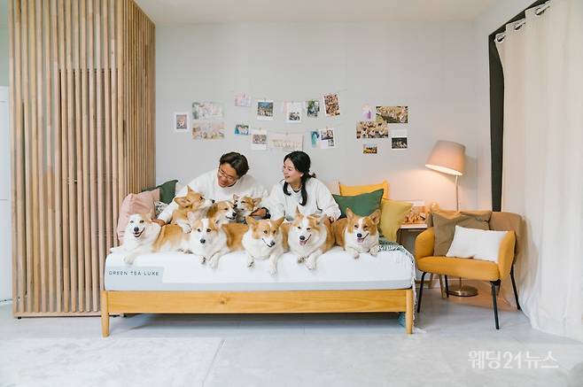 사진 :&nbsp;지누스 '함께하는 공간' 캠페인 (사진제공 : 지누스)