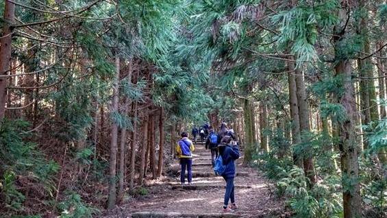 거문오름. 비짓제주 제공