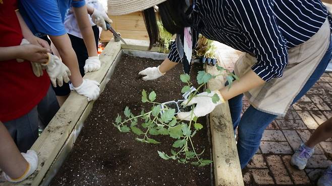 Participants of care farming program for gardening therapy at Dream Tteul Healing Farm are seen enjoying the activities. (Dream Tteul Healing Farm)