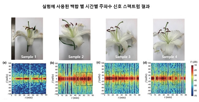 [사진 제공 = KAIST]