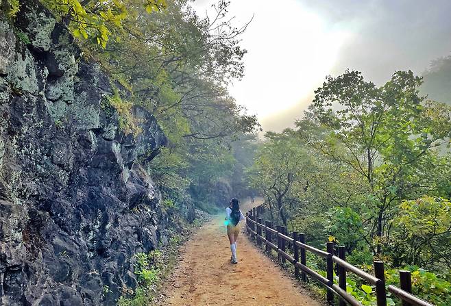 청송 주왕산 계곡산책로