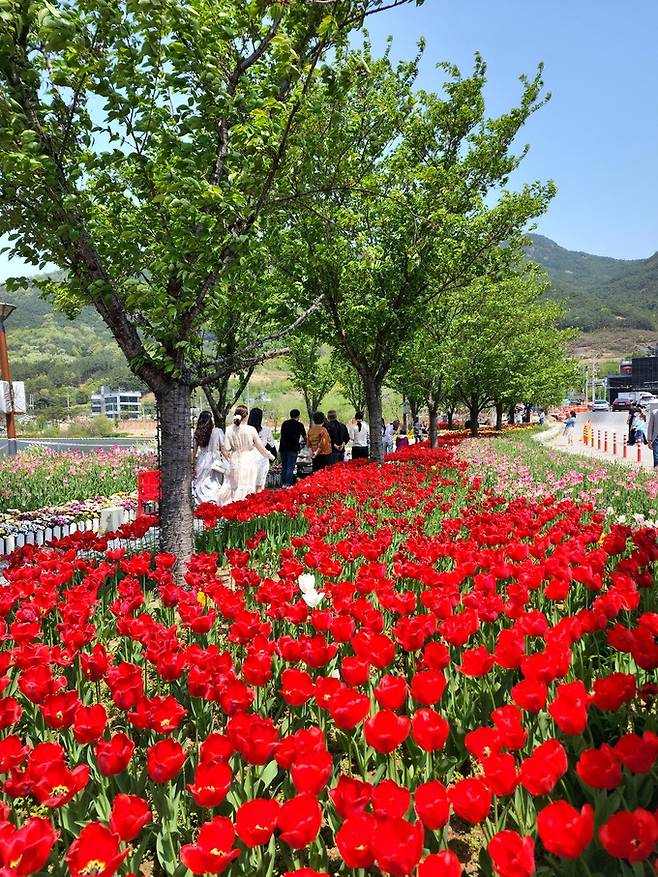 송해공원