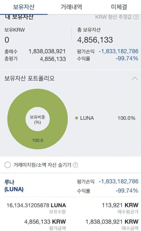 루나 투자자라고 주장한 누리꾼이 루나에 18억원을 넣었다가 약 485만원만 남은 내역을 캡처해 올렸다. /온라인 커뮤니티 갈무리