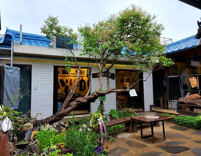 라일락뜨락 1956 이상화 나무