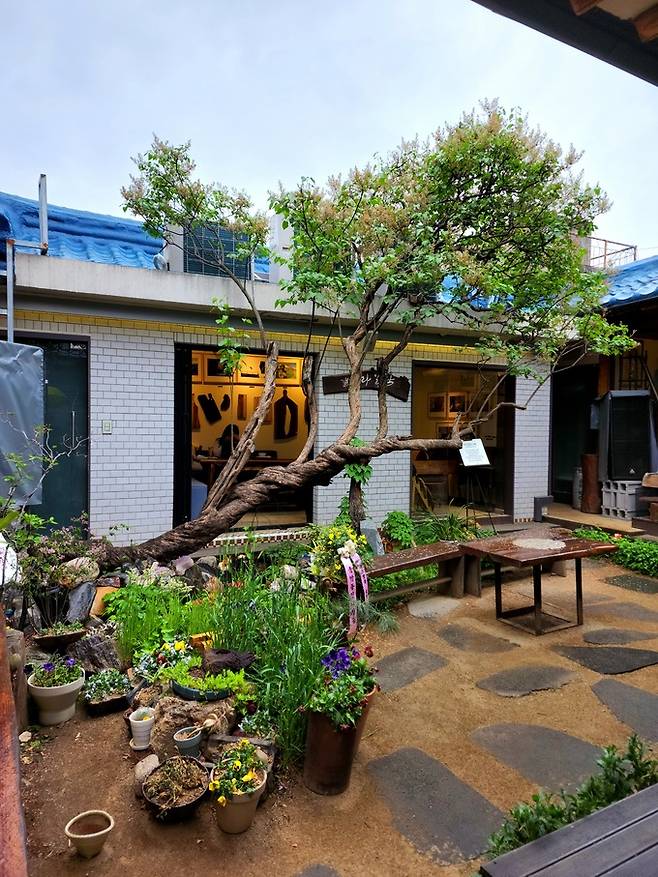 라일락뜨락 1956 이상화 나무